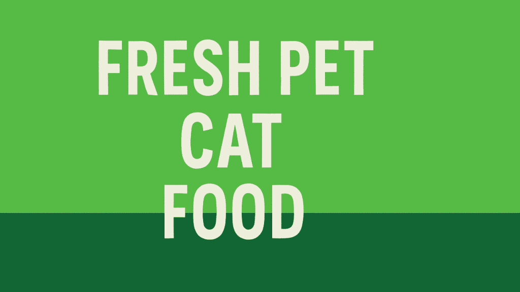 fresh pet cat food