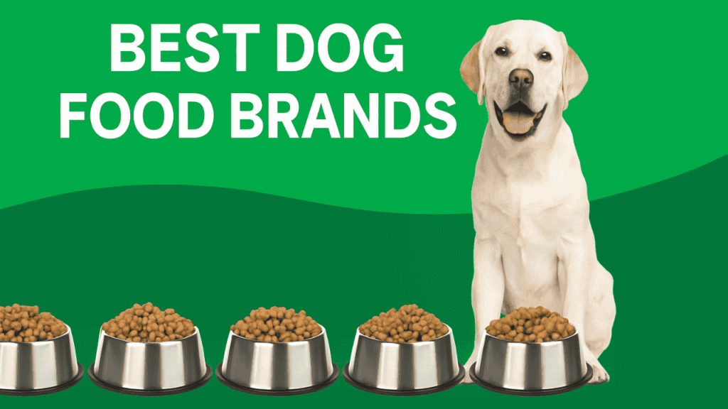 best dog food brands