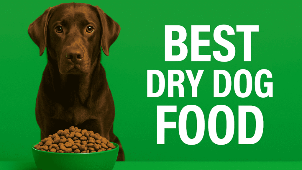 best dry dog food