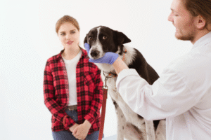 Dog Health Problems