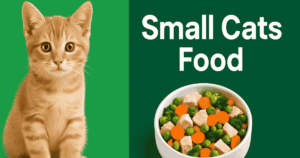 Small Cats Food