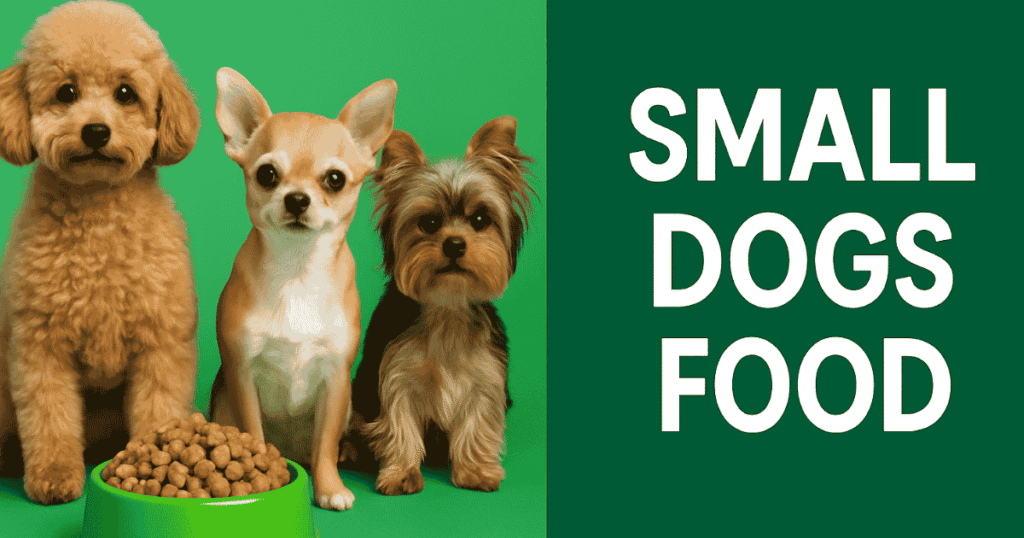 small dogs food