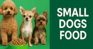 small dogs food