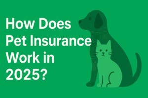 pet insurance how does it work